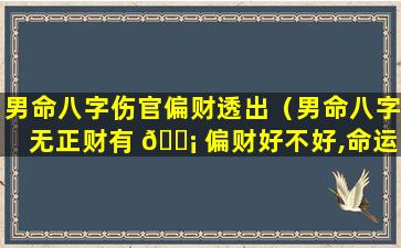 男命八字伤官偏财透出（男命八字无正财有 🐡 偏财好不好,命运怎么样）